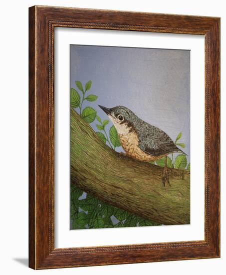 Nuthatch, 2016-Pat Scott-Framed Giclee Print