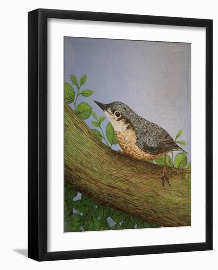 Nuthatch, 2016-Pat Scott-Framed Giclee Print