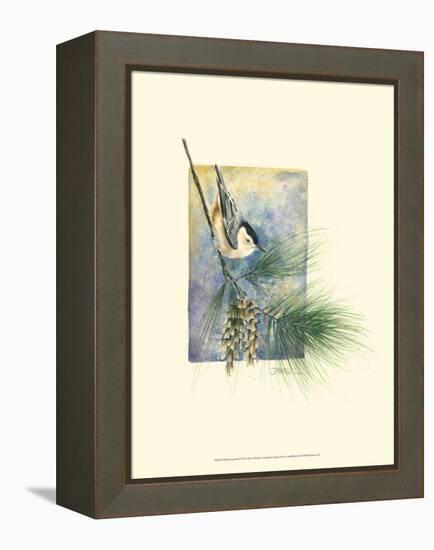 Nuthatch and Pine-Janet Mandel-Framed Stretched Canvas