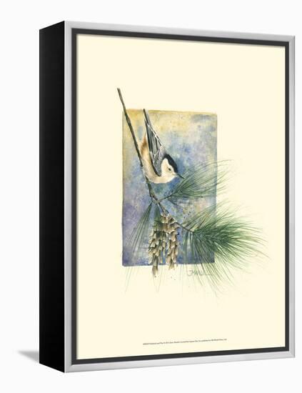 Nuthatch and Pine-Janet Mandel-Framed Stretched Canvas