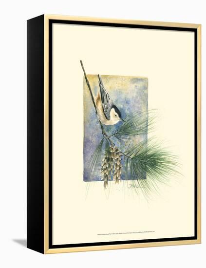 Nuthatch and Pine-Janet Mandel-Framed Stretched Canvas