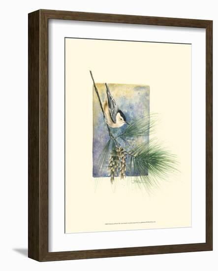 Nuthatch and Pine-Janet Mandel-Framed Art Print