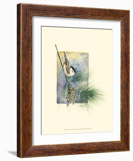 Nuthatch and Pine-Janet Mandel-Framed Art Print