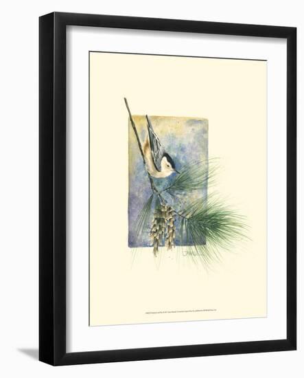 Nuthatch and Pine-Janet Mandel-Framed Art Print