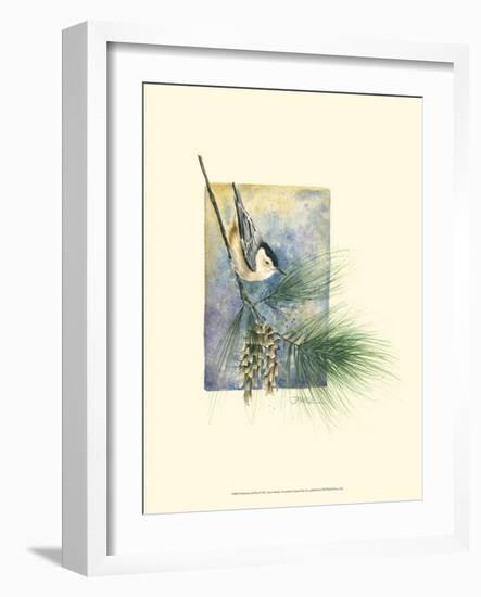 Nuthatch and Pine-Janet Mandel-Framed Art Print