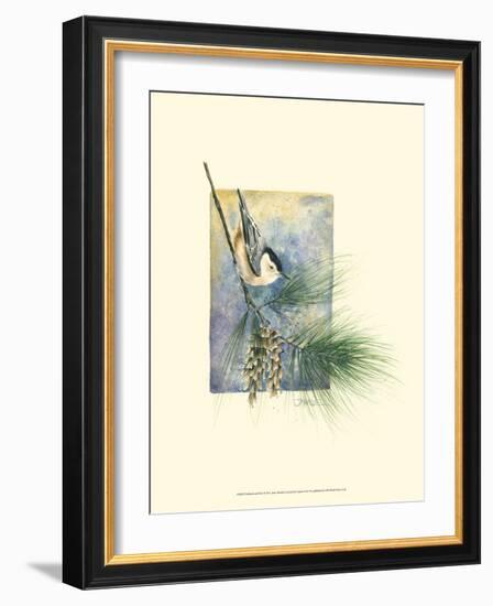 Nuthatch and Pine-Janet Mandel-Framed Art Print
