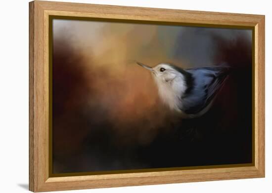 Nuthatch in Autumn-Jai Johnson-Framed Premier Image Canvas