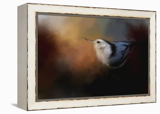 Nuthatch in Autumn-Jai Johnson-Framed Premier Image Canvas