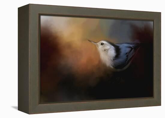 Nuthatch in Autumn-Jai Johnson-Framed Premier Image Canvas