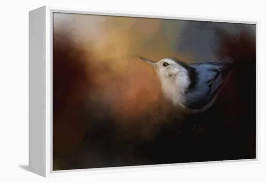 Nuthatch in Autumn-Jai Johnson-Framed Premier Image Canvas