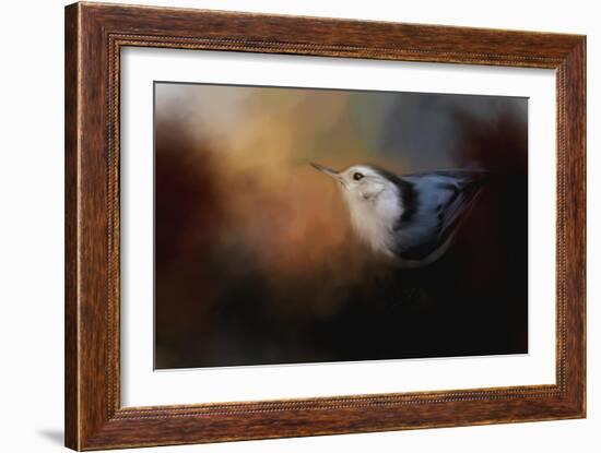 Nuthatch in Autumn-Jai Johnson-Framed Giclee Print