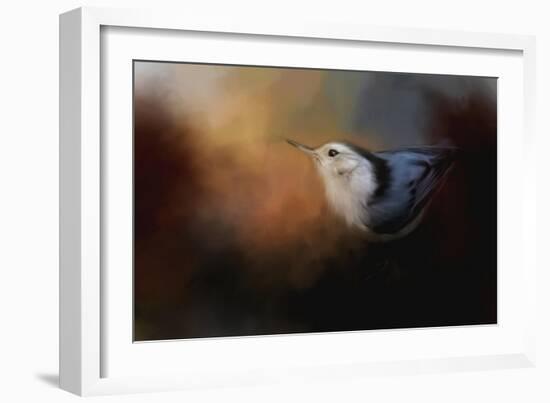 Nuthatch in Autumn-Jai Johnson-Framed Giclee Print