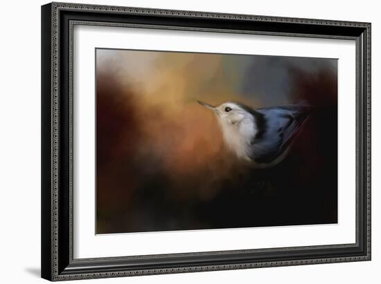 Nuthatch in Autumn-Jai Johnson-Framed Giclee Print