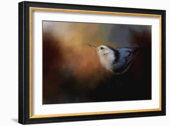 Nuthatch in Autumn-Jai Johnson-Framed Giclee Print