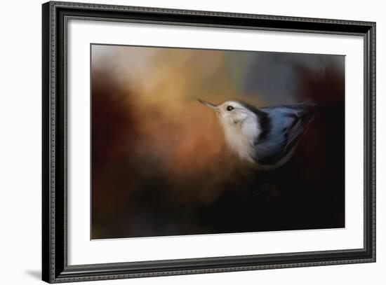 Nuthatch in Autumn-Jai Johnson-Framed Giclee Print