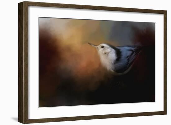 Nuthatch in Autumn-Jai Johnson-Framed Giclee Print