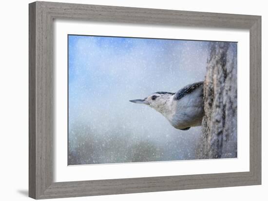 Nuthatch in the Snow-Jai Johnson-Framed Giclee Print