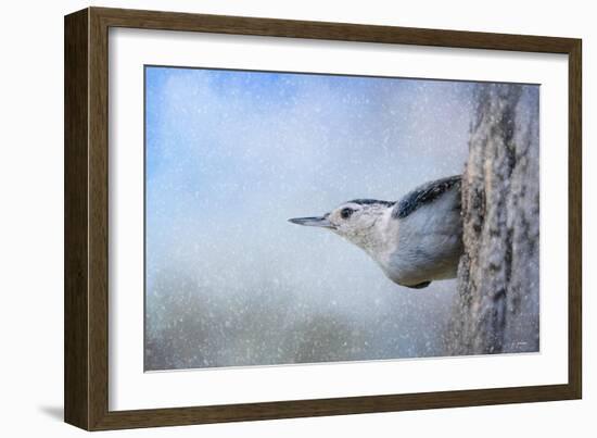 Nuthatch in the Snow-Jai Johnson-Framed Giclee Print