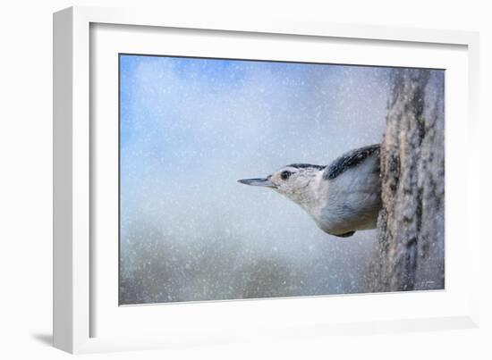 Nuthatch in the Snow-Jai Johnson-Framed Giclee Print