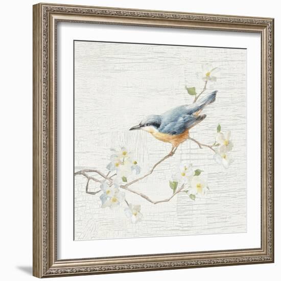 Nuthatch Vintage-Danhui Nai-Framed Art Print