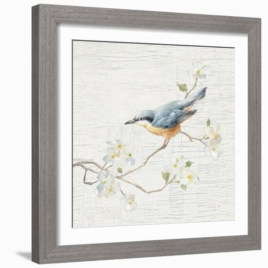 Nuthatch Vintage-Danhui Nai-Framed Art Print