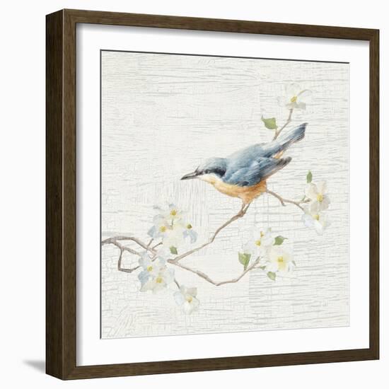 Nuthatch Vintage-Danhui Nai-Framed Art Print