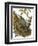 Nuthatch-English-Framed Giclee Print