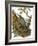 Nuthatch-English-Framed Giclee Print