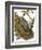 Nuthatch-English-Framed Premium Giclee Print