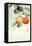 Nuthatcher Atop Persimmon-Koson Ohara-Framed Premier Image Canvas