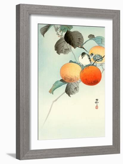 Nuthatcher Atop Persimmon-Koson Ohara-Framed Giclee Print