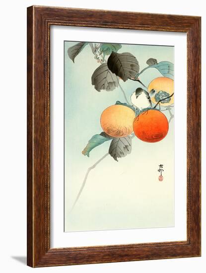 Nuthatcher Atop Persimmon-Koson Ohara-Framed Giclee Print