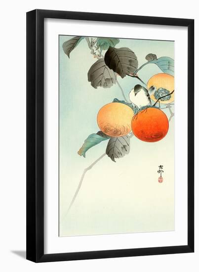 Nuthatcher Atop Persimmon-Koson Ohara-Framed Giclee Print