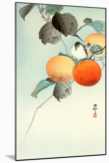 Nuthatcher Atop Persimmon-Koson Ohara-Mounted Giclee Print