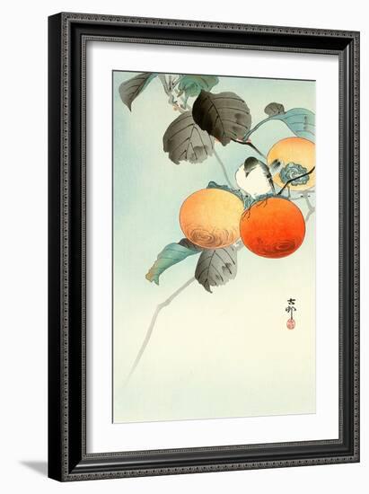 Nuthatcher Atop Persimmon-Koson Ohara-Framed Giclee Print