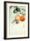 Nuthatcher Atop Persimmon-Koson Ohara-Framed Giclee Print