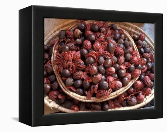 Nutmeg in Public Market, Castries, Caribbean-Greg Johnston-Framed Premier Image Canvas