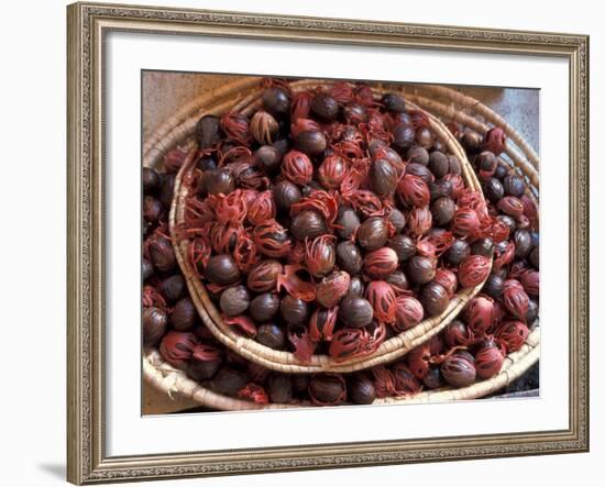 Nutmeg in Public Market, Castries, Caribbean-Greg Johnston-Framed Photographic Print