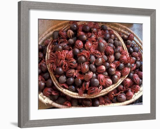 Nutmeg in Public Market, Castries, Caribbean-Greg Johnston-Framed Photographic Print