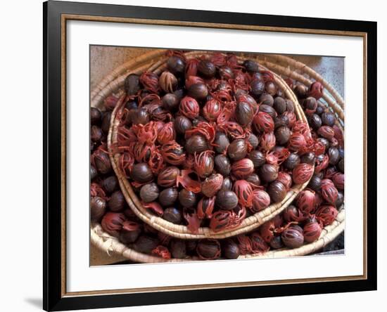 Nutmeg in Public Market, Castries, Caribbean-Greg Johnston-Framed Photographic Print