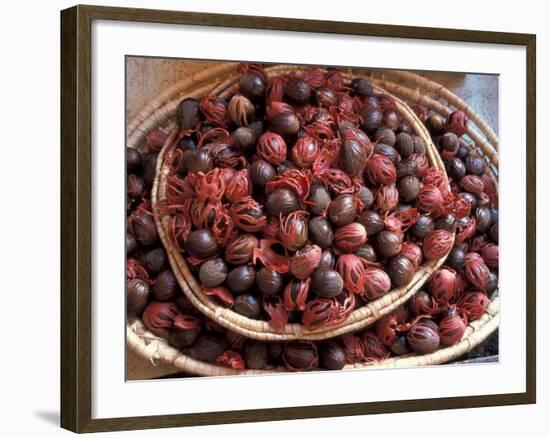 Nutmeg in Public Market, Castries, Caribbean-Greg Johnston-Framed Photographic Print