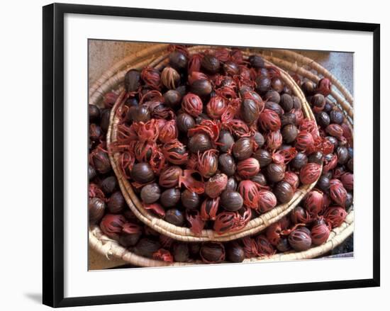 Nutmeg in Public Market, Castries, Caribbean-Greg Johnston-Framed Photographic Print