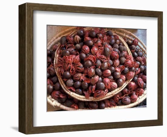 Nutmeg in Public Market, Castries, Caribbean-Greg Johnston-Framed Photographic Print