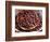 Nutmeg in Public Market, Castries, Caribbean-Greg Johnston-Framed Photographic Print