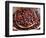 Nutmeg in Public Market, Castries, Caribbean-Greg Johnston-Framed Photographic Print