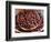 Nutmeg in Public Market, Castries, Caribbean-Greg Johnston-Framed Photographic Print