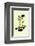 Nuts About You - Tom Cronin Doodles Cartoon Print-Tom Cronin-Framed Giclee Print