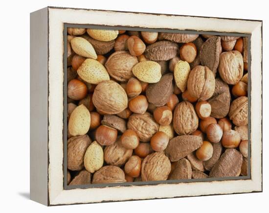 Nuts: Almonds, Brazils, Hazelnuts & Walnuts-Tony Craddock-Framed Premier Image Canvas