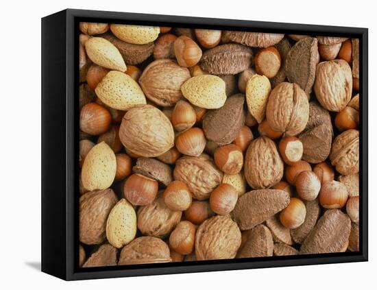 Nuts: Almonds, Brazils, Hazelnuts & Walnuts-Tony Craddock-Framed Premier Image Canvas