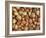 Nuts: Almonds, Brazils, Hazelnuts & Walnuts-Tony Craddock-Framed Photographic Print